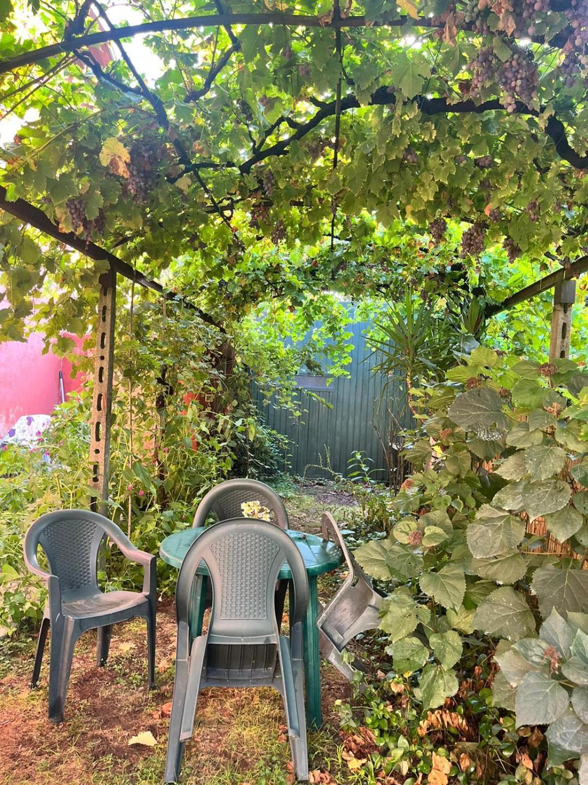 Apartamento Bella Di Notte San Giorgio a Liri Exterior foto