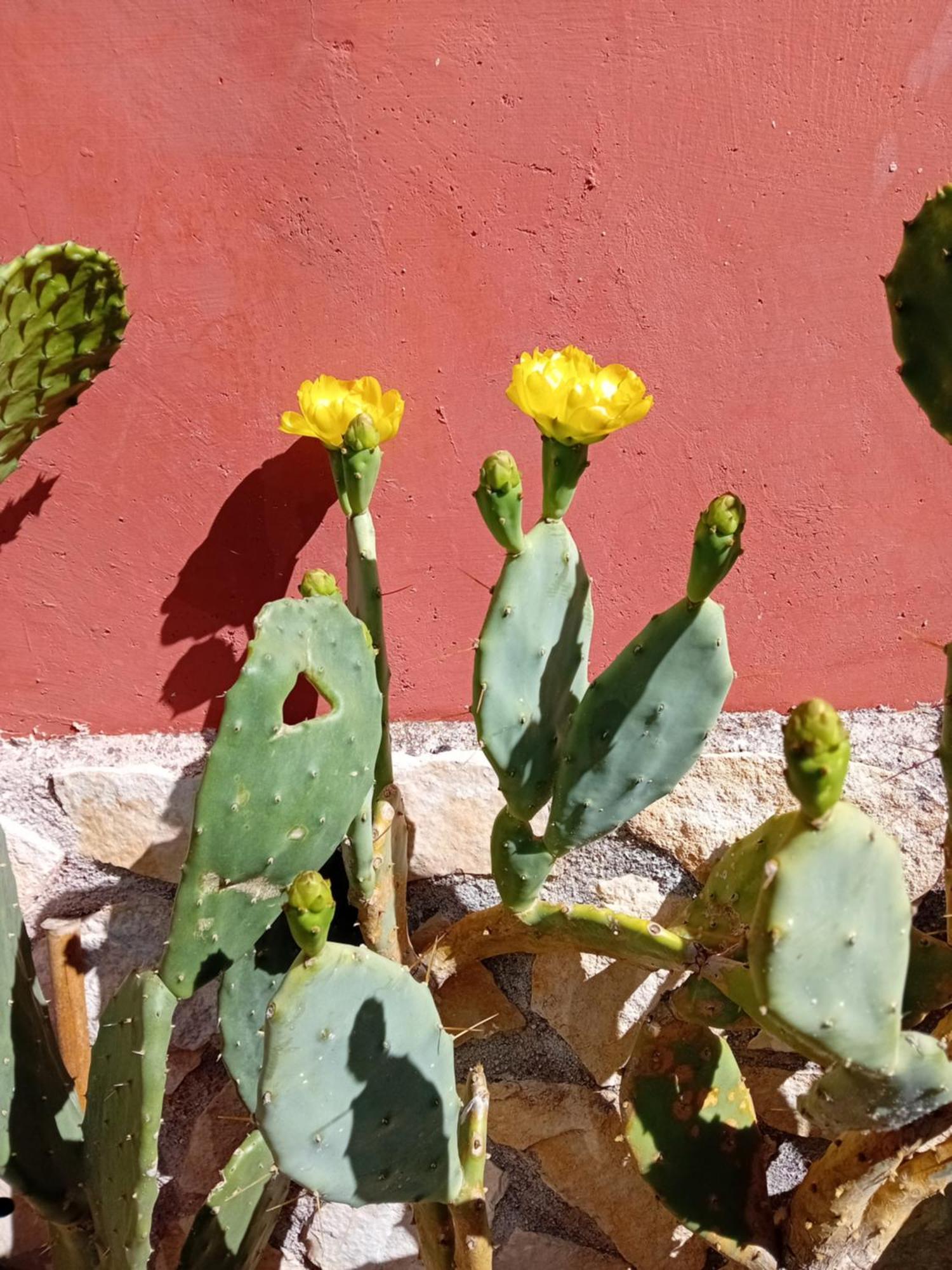 Apartamento Bella Di Notte San Giorgio a Liri Exterior foto