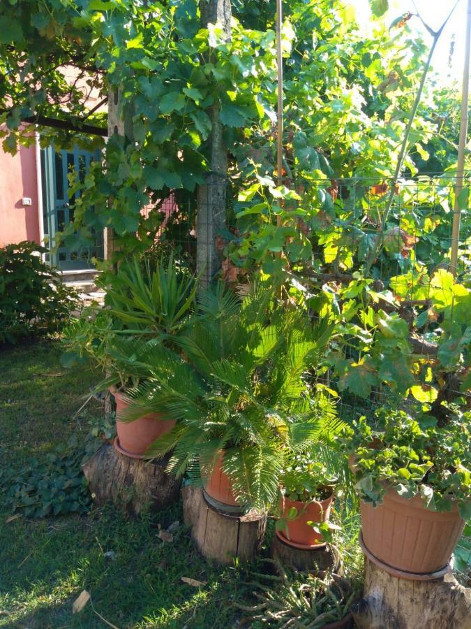 Apartamento Bella Di Notte San Giorgio a Liri Exterior foto