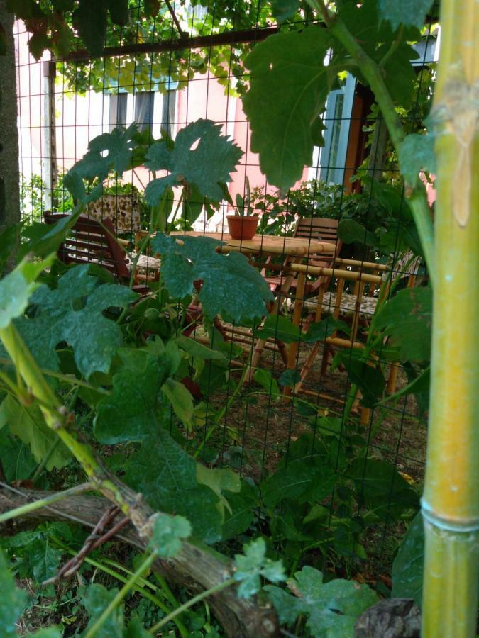 Apartamento Bella Di Notte San Giorgio a Liri Exterior foto